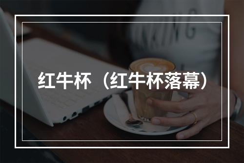 红牛杯（红牛杯落幕）