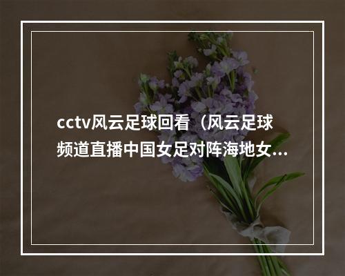 cctv风云足球回看（风云足球频道直播中国女足对阵海地女足）