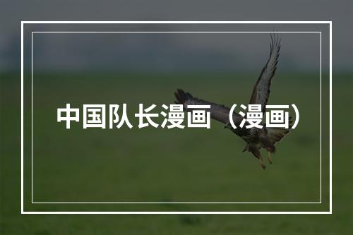 中国队长漫画（漫画）
