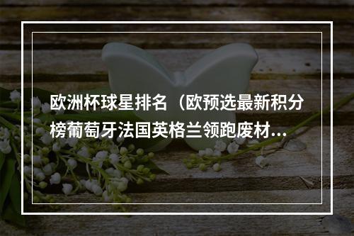 欧洲杯球星排名（欧预选最新积分榜葡萄牙法国英格兰领跑废材卢卡库进球领先C罗）