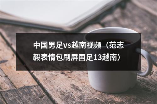 中国男足vs越南视频（范志毅表情包刷屏国足13越南）