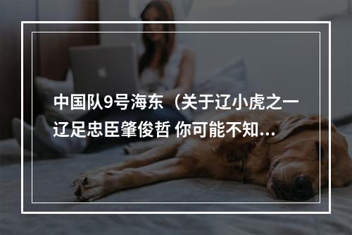 中国队9号海东（关于辽小虎之一辽足忠臣肇俊哲 你可能不知道的11件事）