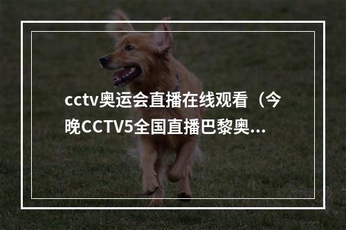 cctv奥运会直播在线观看（今晚CCTV5全国直播巴黎奥运资格赛中国女排VS加拿大）