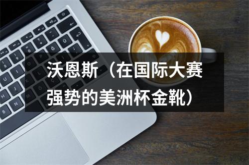 沃恩斯（在国际大赛强势的美洲杯金靴）