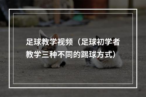 足球教学视频（足球初学者教学三种不同的踢球方式）