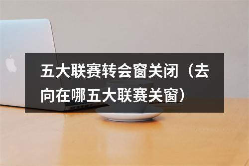 五大联赛转会窗关闭（去向在哪五大联赛关窗）