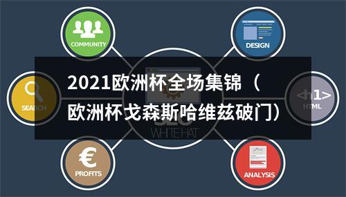 2021欧洲杯全场集锦（欧洲杯戈森斯哈维兹破门）