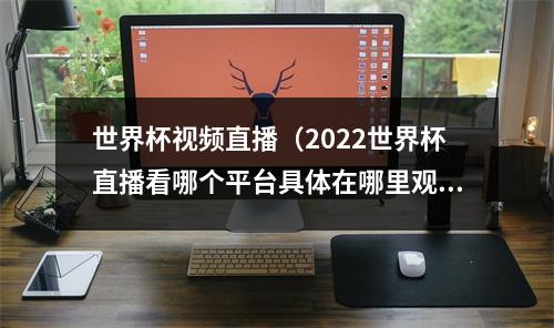 世界杯视频直播（2022世界杯直播看哪个平台具体在哪里观看附直播平台）
