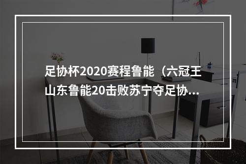 足协杯2020赛程鲁能（六冠王山东鲁能20击败苏宁夺足协杯冠军）