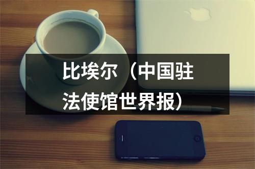 比埃尔（中国驻法使馆世界报）