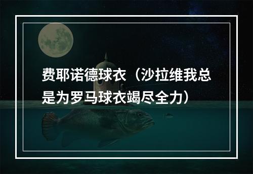 费耶诺德球衣（沙拉维我总是为罗马球衣竭尽全力）