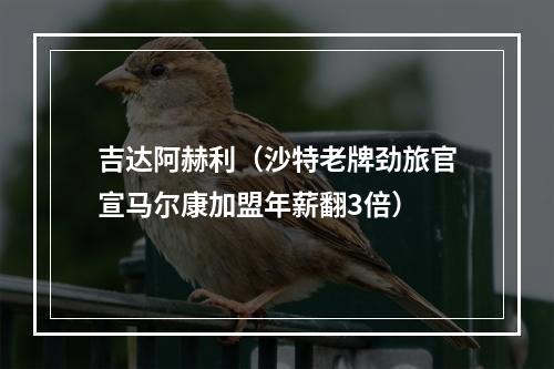 吉达阿赫利（沙特老牌劲旅官宣马尔康加盟年薪翻3倍）