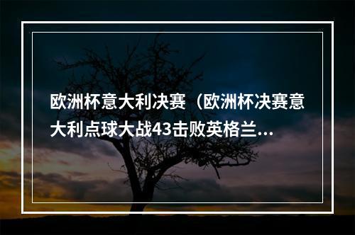 欧洲杯意大利决赛（欧洲杯决赛意大利点球大战43击败英格兰 时隔53年第二次夺冠）