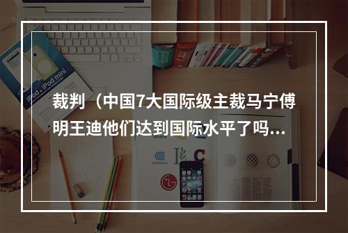 裁判（中国7大国际级主裁马宁傅明王迪他们达到国际水平了吗）