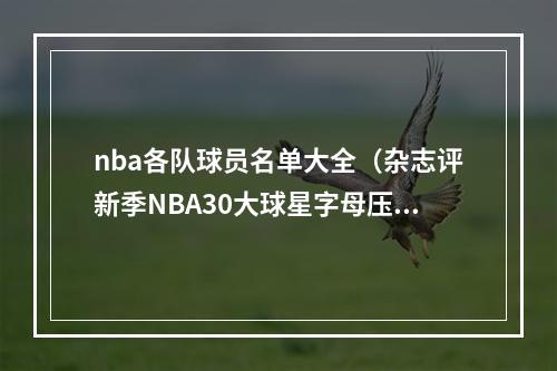 nba各队球员名单大全（杂志评新季NBA30大球星字母压KD居首 约基奇3 库里4 詹姆斯5）