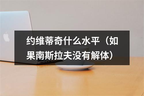 约维蒂奇什么水平（如果南斯拉夫没有解体）