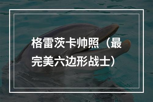 格雷茨卡帅照（最完美六边形战士）