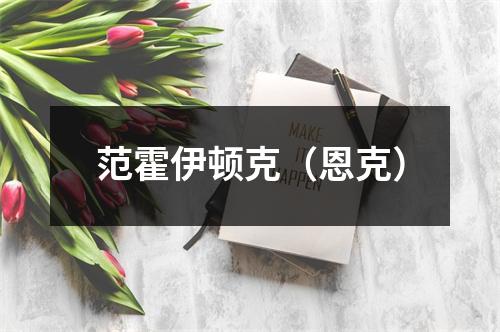 范霍伊顿克（恩克）