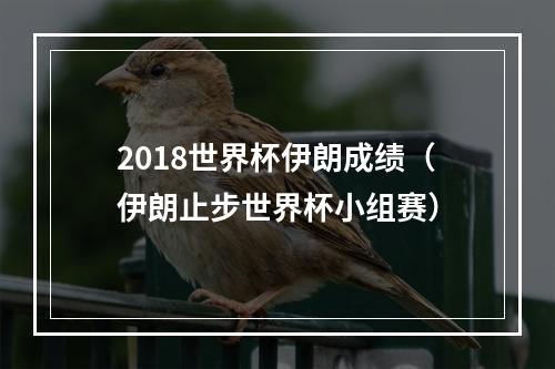 2018世界杯伊朗成绩（伊朗止步世界杯小组赛）