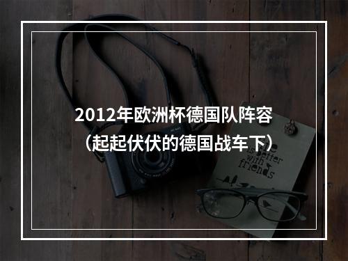 2012年欧洲杯德国队阵容（起起伏伏的德国战车下）