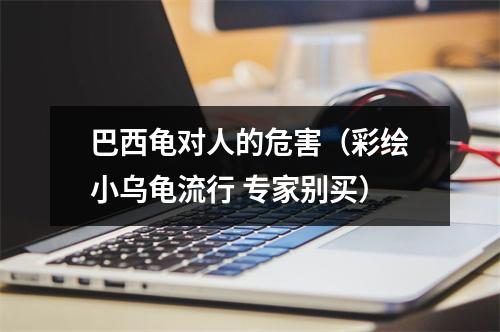 巴西龟对人的危害（彩绘小乌龟流行 专家别买）
