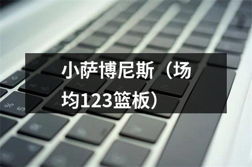 小萨博尼斯（场均123篮板）