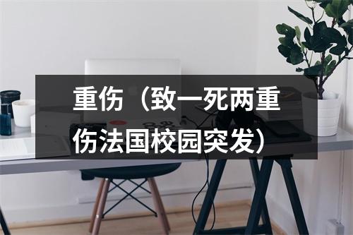重伤（致一死两重伤法国校园突发）
