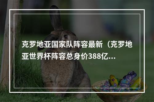 克罗地亚国家队阵容最新（克罗地亚世界杯阵容总身价388亿欧）
