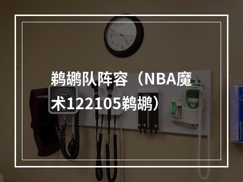 鹈鹕队阵容（NBA魔术122105鹈鹕）