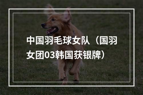 中国羽毛球女队（国羽女团03韩国获银牌）