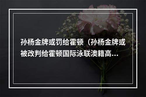孙杨金牌或罚给霍顿（孙杨金牌或被改判给霍顿国际泳联澳籍高官发话 将开会讨论该决议）