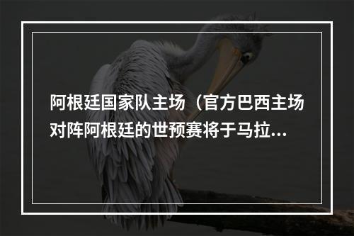 阿根廷国家队主场（官方巴西主场对阵阿根廷的世预赛将于马拉卡纳球场举行）