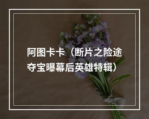 阿图卡卡（断片之险途夺宝曝幕后英雄特辑）