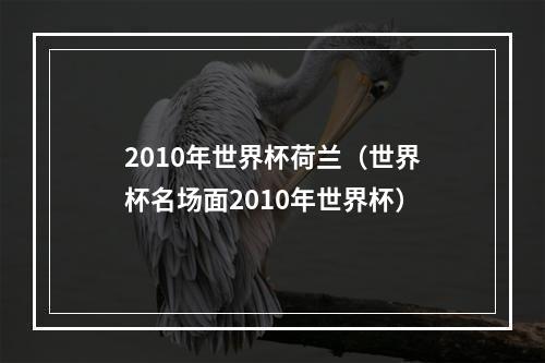 2010年世界杯荷兰（世界杯名场面2010年世界杯）