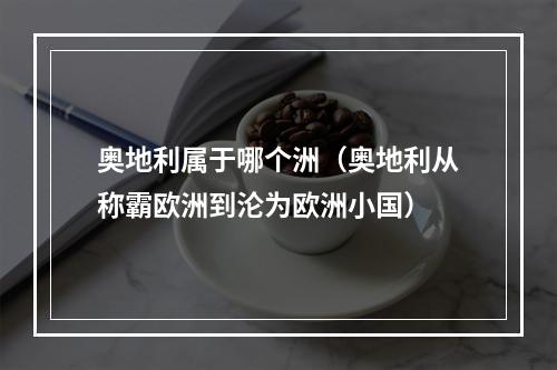 奥地利属于哪个洲（奥地利从称霸欧洲到沦为欧洲小国）
