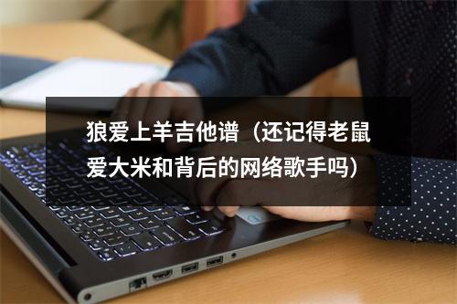 狼爱上羊吉他谱（还记得老鼠爱大米和背后的网络歌手吗）