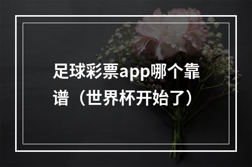 足球彩票app哪个靠谱（世界杯开始了）