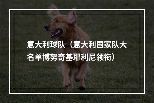 意大利球队（意大利国家队大名单博努奇基耶利尼领衔）