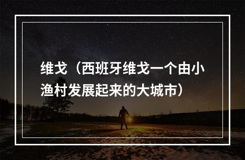 维戈（西班牙维戈一个由小渔村发展起来的大城市）