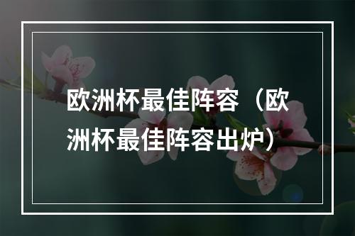 欧洲杯最佳阵容（欧洲杯最佳阵容出炉）