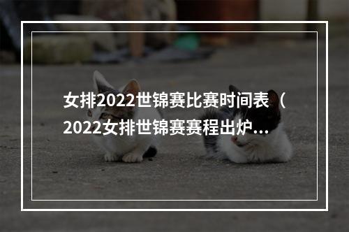 女排2022世锦赛比赛时间表（2022女排世锦赛赛程出炉）