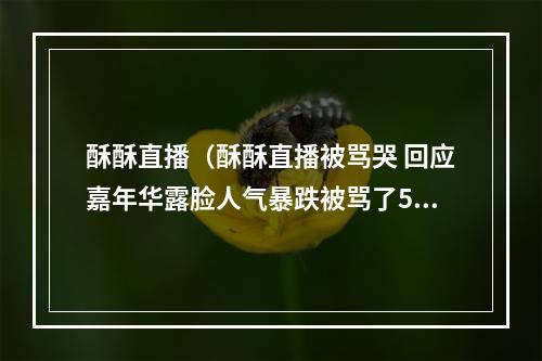 酥酥直播（酥酥直播被骂哭 回应嘉年华露脸人气暴跌被骂了5年还要怎么样）