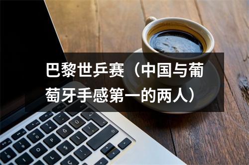 巴黎世乒赛（中国与葡萄牙手感第一的两人）