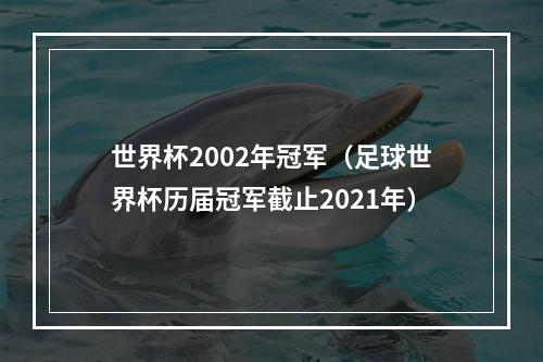 世界杯2002年冠军（足球世界杯历届冠军截止2021年）