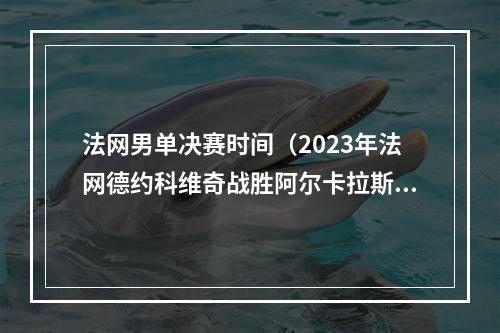 法网男单决赛时间（2023年法网德约科维奇战胜阿尔卡拉斯挺进男单决赛）