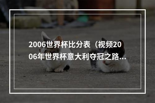 2006世界杯比分表（视频2006年世界杯意大利夺冠之路回顾）