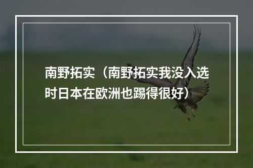 南野拓实（南野拓实我没入选时日本在欧洲也踢得很好）