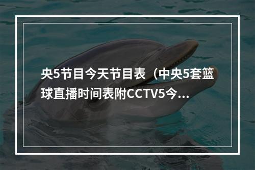 央5节目今天节目表（中央5套篮球直播时间表附CCTV5今日节目单CCTV5今日节目表）