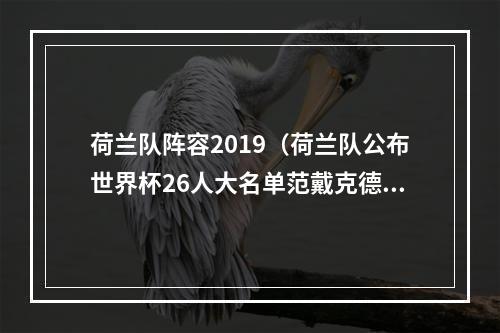 荷兰队阵容2019（荷兰队公布世界杯26人大名单范戴克德容领衔）