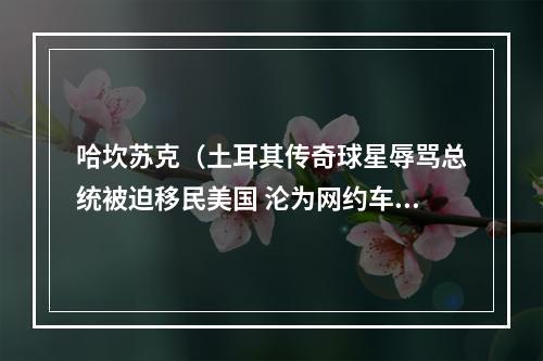 哈坎苏克（土耳其传奇球星辱骂总统被迫移民美国 沦为网约车司机）